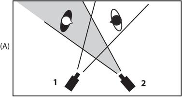 grammar-edit-riassunto-libro-montaggio-riprese