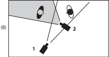 grammar-edit-riassunto-libro-montaggio-riprese